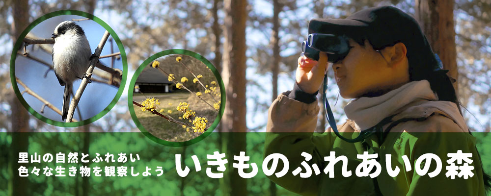 いきものふれあいの森