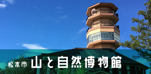 松本市山と自然博物館